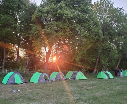 C2 sat evening1