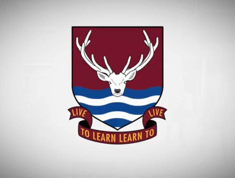 Learning from Home